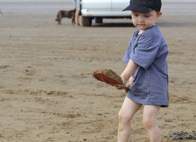 Beach Boys